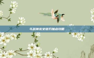 斗战神龙女链刃加点攻略