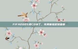 FIFA2005免CD补丁，完美体验足球盛宴