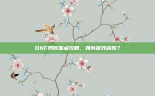 DNF刺客加点攻略，如何高效刷图？