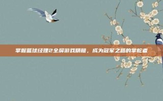 掌握篮球经理2全屏游戏精髓，成为冠军之路的掌舵者