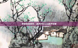 掌握游戏技巧，成为Plu.cn高手玩家