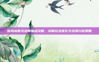 冒险岛夜光法师加点攻略，详解玩法优化与资源分配策略