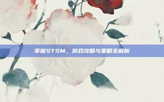 掌握STSM，游戏攻略与策略全解析