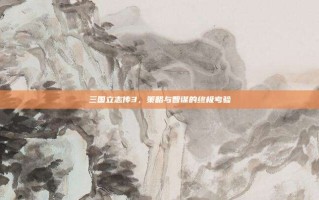 三国立志传3，策略与智谋的终极考验