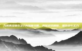 九阴真经锦衣卫2内深度攻略，揭秘游戏精髓，提升战斗实力
