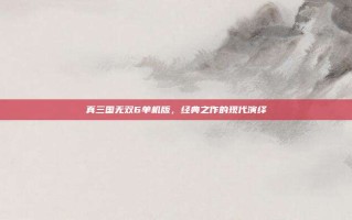 真三国无双6单机版，经典之作的现代演绎