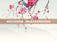 魔域yy礼包攻略，如何最大化你的游戏收益