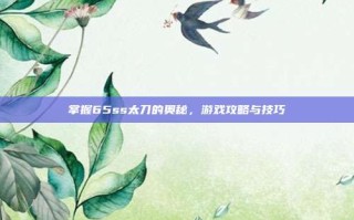 掌握65ss太刀的奥秘，游戏攻略与技巧