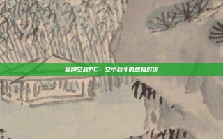 皇牌空战PC，空中战斗的终极对决
