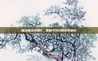体坛篮球经理2，策略与技巧的完美结合