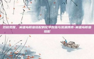 双核觉醒，英雄岛职业搭配的化学反应与流派博弈-英雄岛职业搭配
