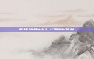 撒贝宁现身贵州村BA球场，游戏爱好者的狂欢盛宴！