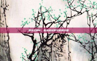 哥特王朝4，激活码获取与使用攻略