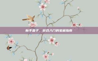 新手盒子，游戏入门的宝藏指南