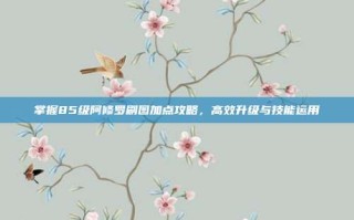 掌握85级阿修罗刷图加点攻略，高效升级与技能运用