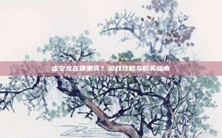 虚空龙在哪里买？游戏攻略与购买指南