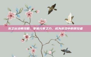 龙之谷法师攻略，掌握元素之力，成为游戏中的掌控者