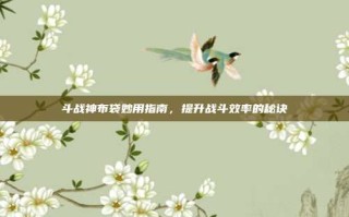 斗战神布袋妙用指南，提升战斗效率的秘诀
