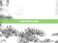 天谕玲珑带什么神格
