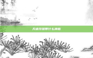 天谕玲珑带什么神格