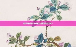 和平精英小陈在哪里直播？