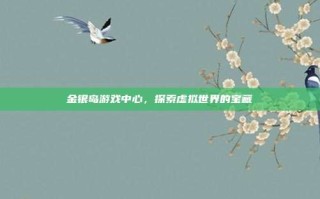 金银岛游戏中心，探索虚拟世界的宝藏