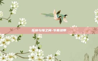 在快与慢之间-节奏地带