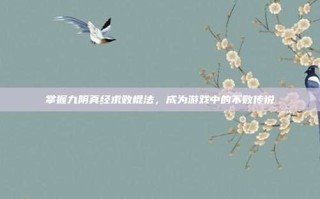 掌握九阴真经求败棍法，成为游戏中的不败传说