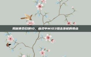 揭秘使命召唤10，幽灵中M103狙击步枪的弱点