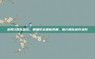 剑网3团队监控，精细化运营新视角，助力团队协作进阶