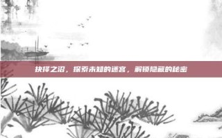 抉择之沼，探索未知的迷宫，解锁隐藏的秘密