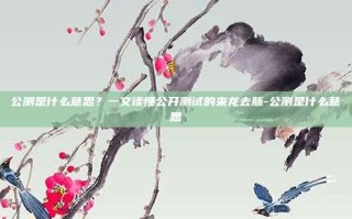 公测是什么意思？一文读懂公开测试的来龙去脉-公测是什么意思