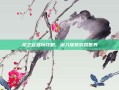 龙之谷多玩攻略，深入探索游戏世界