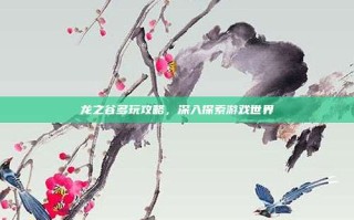 龙之谷多玩攻略，深入探索游戏世界
