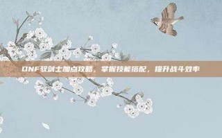 DNF驭剑士加点攻略，掌握技能搭配，提升战斗效率
