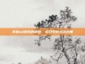 掌握ad锤石的精髓，游戏中的战术大师
