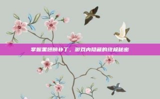 掌握黑翅膀补丁，游戏内隐藏的终极秘密