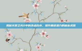 揭秘火炬之光2中的洗点药水，提升角色潜力的秘密武器