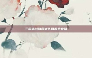 三国志战略版老头问题全攻略
