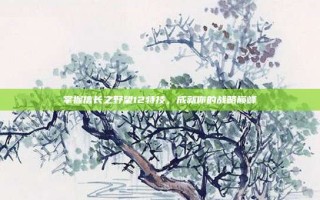 掌握信长之野望12特技，成就你的战略巅峰