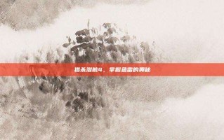 猎杀潜航4，掌握鱼雷的奥秘