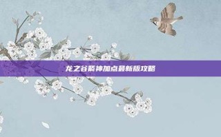 龙之谷箭神加点最新版攻略