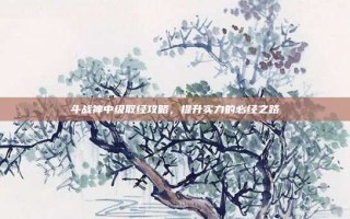 斗战神中级取经攻略，提升实力的必经之路