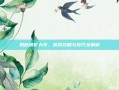 揭秘银矿大亨，游戏攻略与技巧全解析