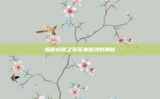 揭秘初露之源采集路线的奥秘