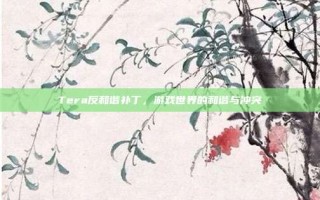Tera反和谐补丁，游戏世界的和谐与冲突