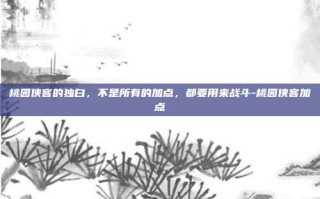桃园侠客的独白，不是所有的加点，都要用来战斗-桃园侠客加点