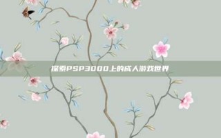 探索PSP3000上的成人游戏世界