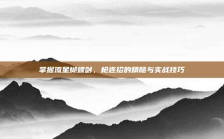 掌握流星蝴蝶剑，枪连招的精髓与实战技巧