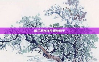 诺兰不允许片场放椅子